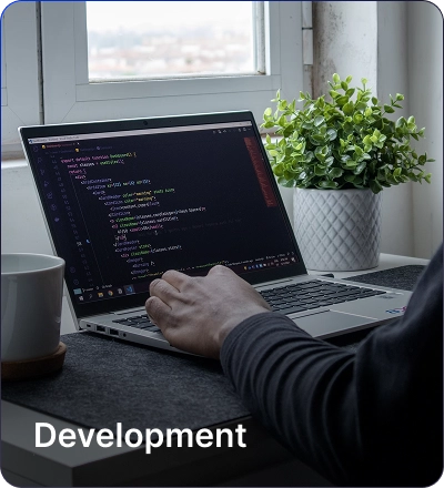 Development